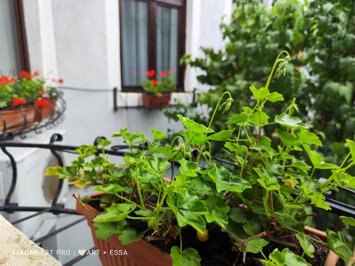 Apartament Buon Gusto,Near Main Square And Liar Bridge,Historical Side Of City Center Sibiu Bagian luar foto