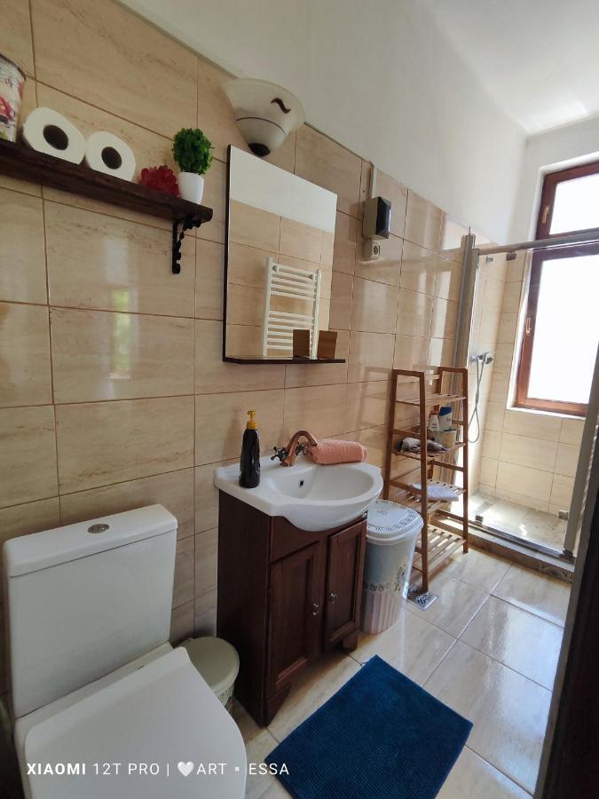 Apartament Buon Gusto,Near Main Square And Liar Bridge,Historical Side Of City Center Sibiu Bagian luar foto